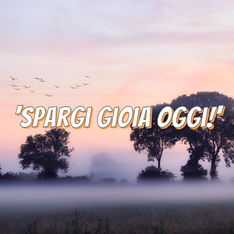 'Spargi gioia oggi!'